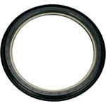 Moose Racing Brake Drum Seal - TRX