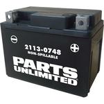 Parts Unlimited AGM Battery - YTX4L