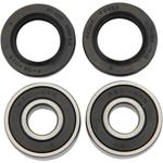 Pivot Works Wheel Bearing and Seal Kit - Double Seal - Front